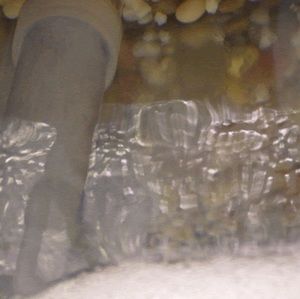 Meet your Posher, Christian